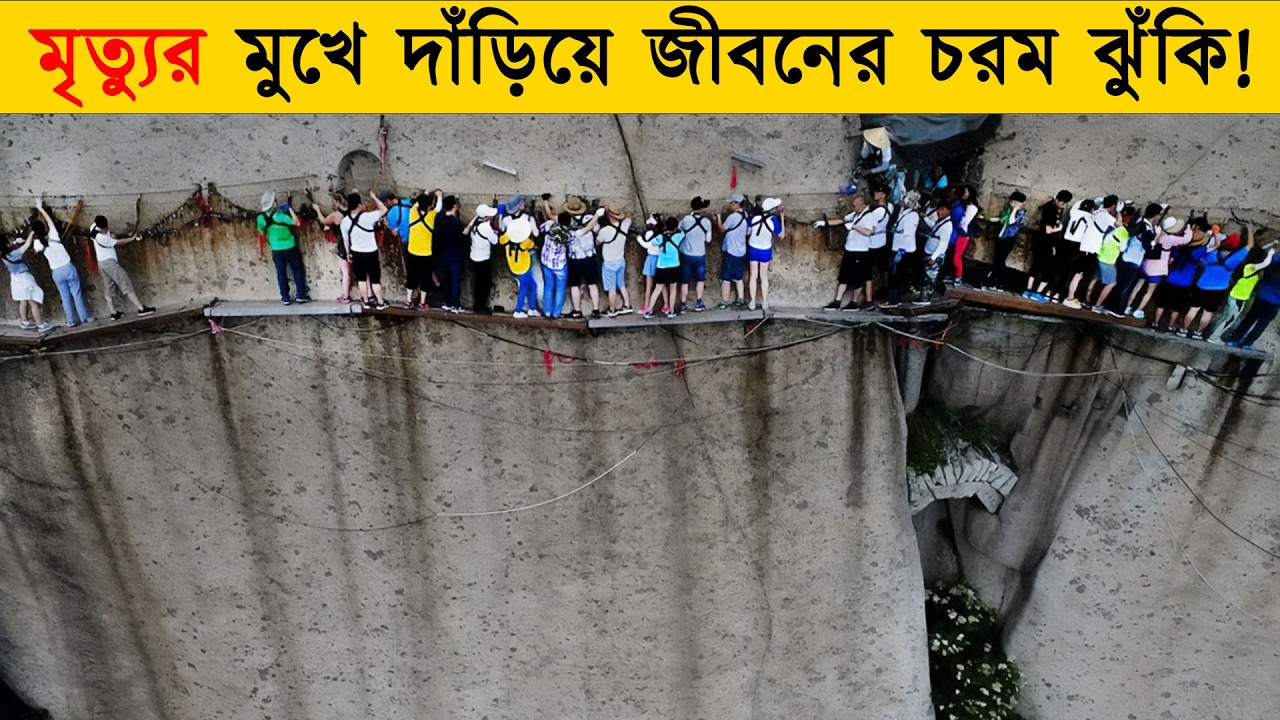 কলিজা কাঁপানো পৃথিবীর বিপজ্জনক সব সেতু ! দেখলে গা শিউরে উঠবে !