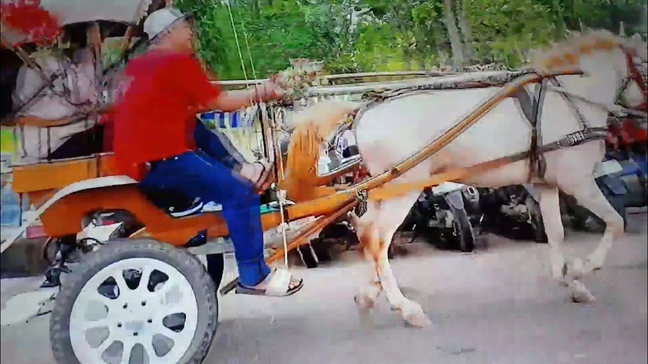 (( KALAU KAU SUKA HATI ))
