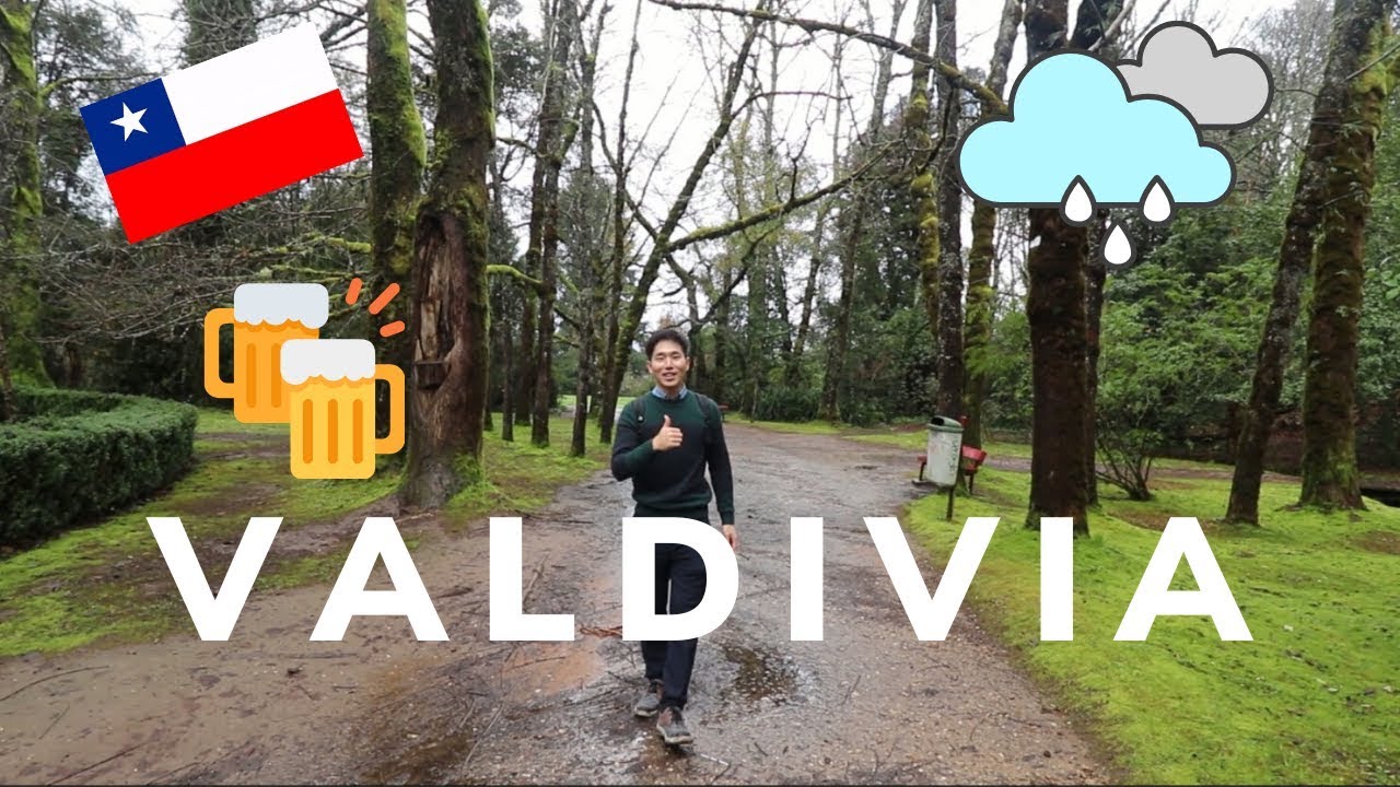 POR FIN ESTOY EN VALDIVIA!! | Diego el Coreano
