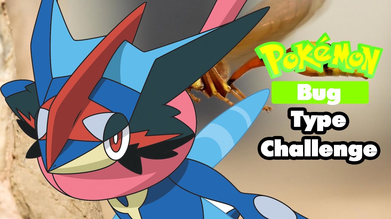 SCURRY ON TO VICTORY! | Pokemon Bug Type Quiz Challenge with WaterNinjaFrog!