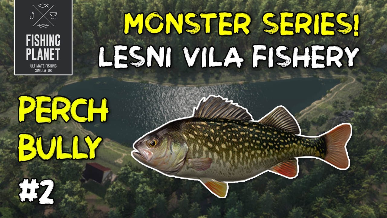 FISHING PLANET - MONSTER PERCH BULLY | LESNI VILA FISHERY