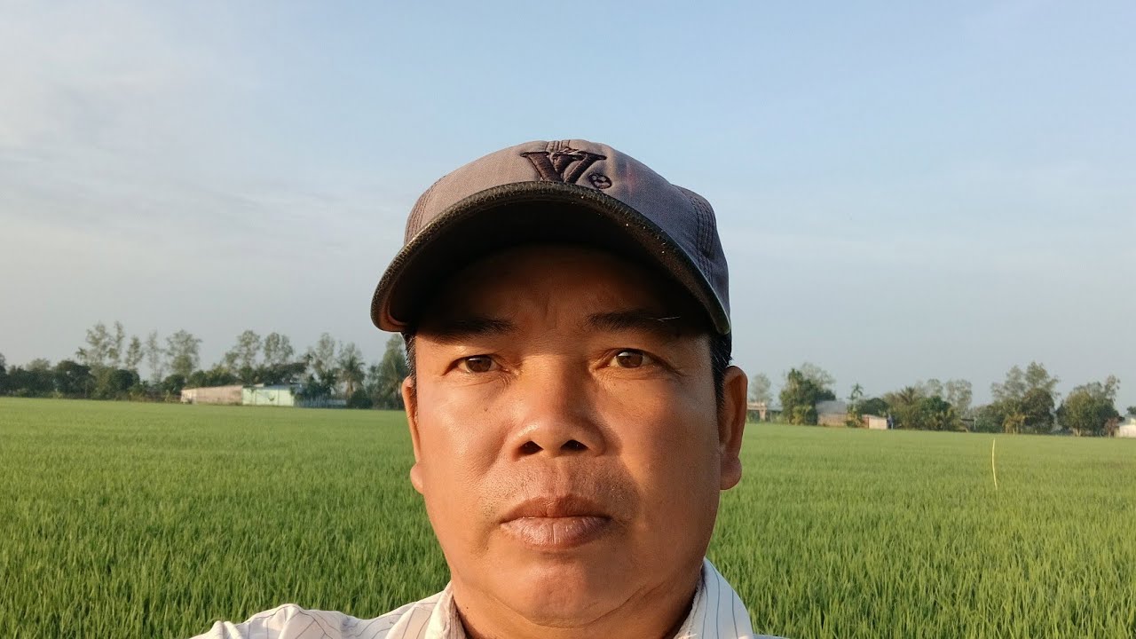 sáng ngày 7 cánh đồng lúa ấp thới phước 2 đây đó miền tây 1973 đang phát trực tiếp!
