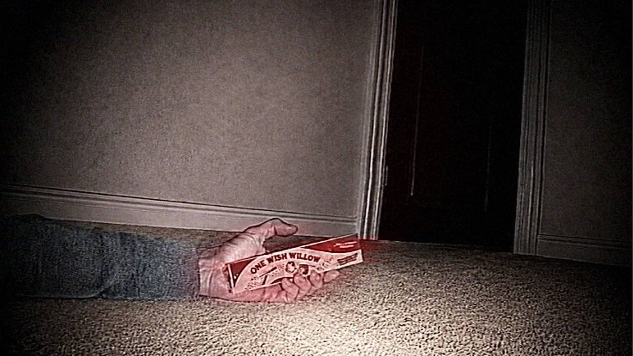 One Wish Willow (Found Footage)