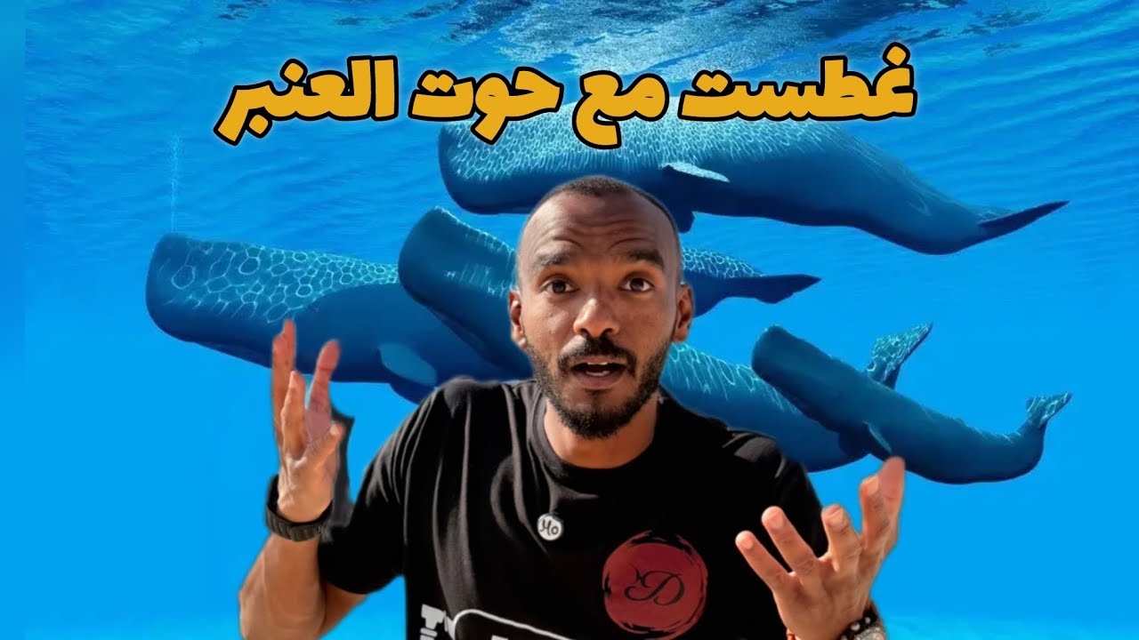 غطست مع حوت العنبر في قلب المحيط 🤯 🐋 | Mo Drar