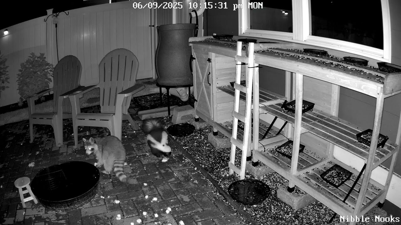 133 - CRUNCHIN WITH THE MUNCHKINS