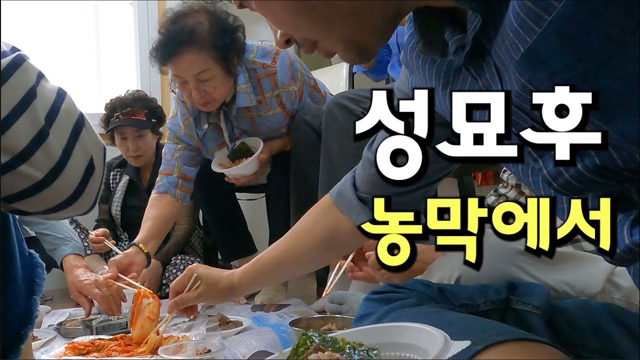 추석 성묘 후..85세 어머니의 노욕ㅎ