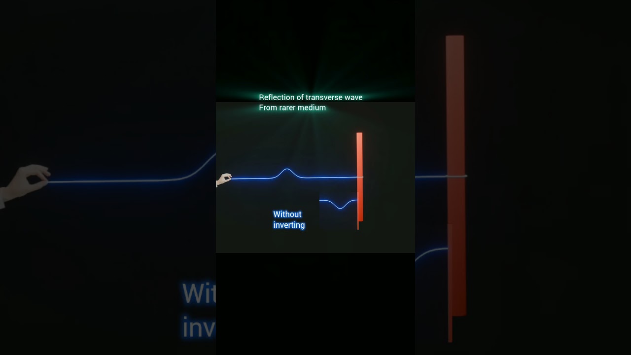 Reflection of transverse wave from rarer medium|| #physics #science #physicsanimation