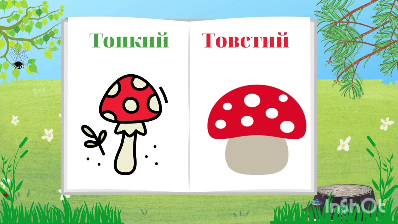 Порівняння предметів для дітей. Тонкий- товстий.