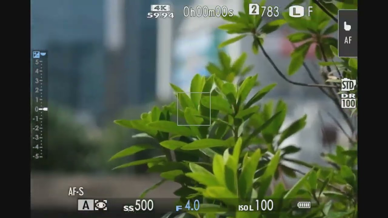 Fujifilm XF 18-120mm F4 LM PZ WR AF-S Speed Test (Tele)