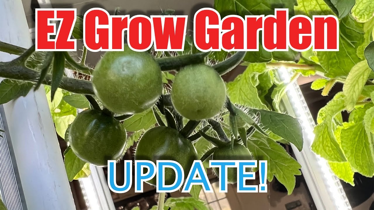 EZ Grow Garden  *Patio Garden*   Update on Growth!