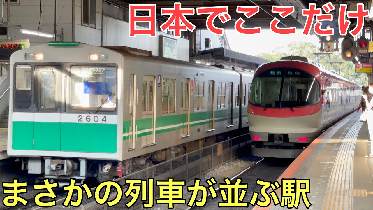 【激レア】日本で1つしかないまさかの列車が並ぶ謎の駅に行ってきた