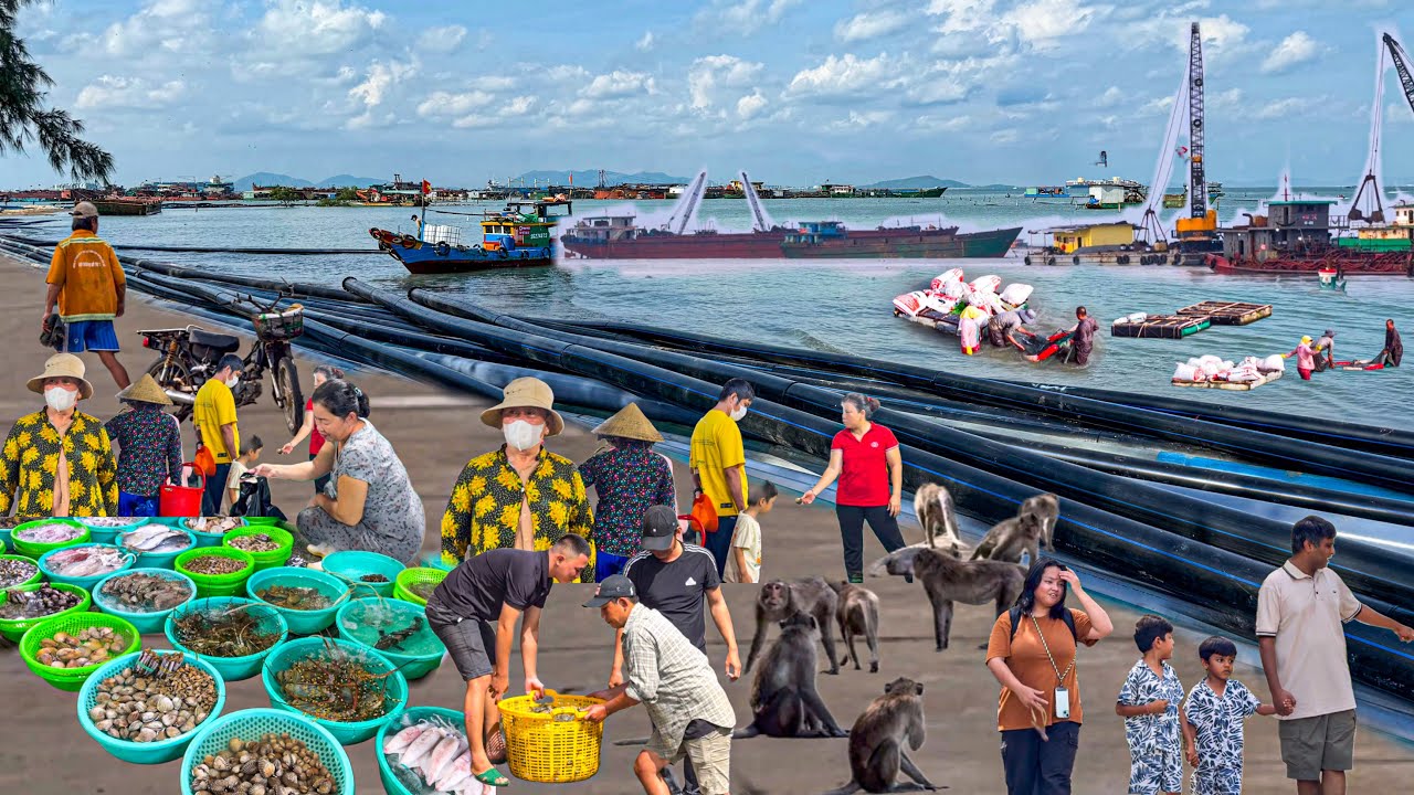 Đô Thị Lấn Biển Cần Giờ Lớn Nhất Nước Ta | Chợ Hàng Dương Mua Hải Sản Chế Biến Tại Chỗ