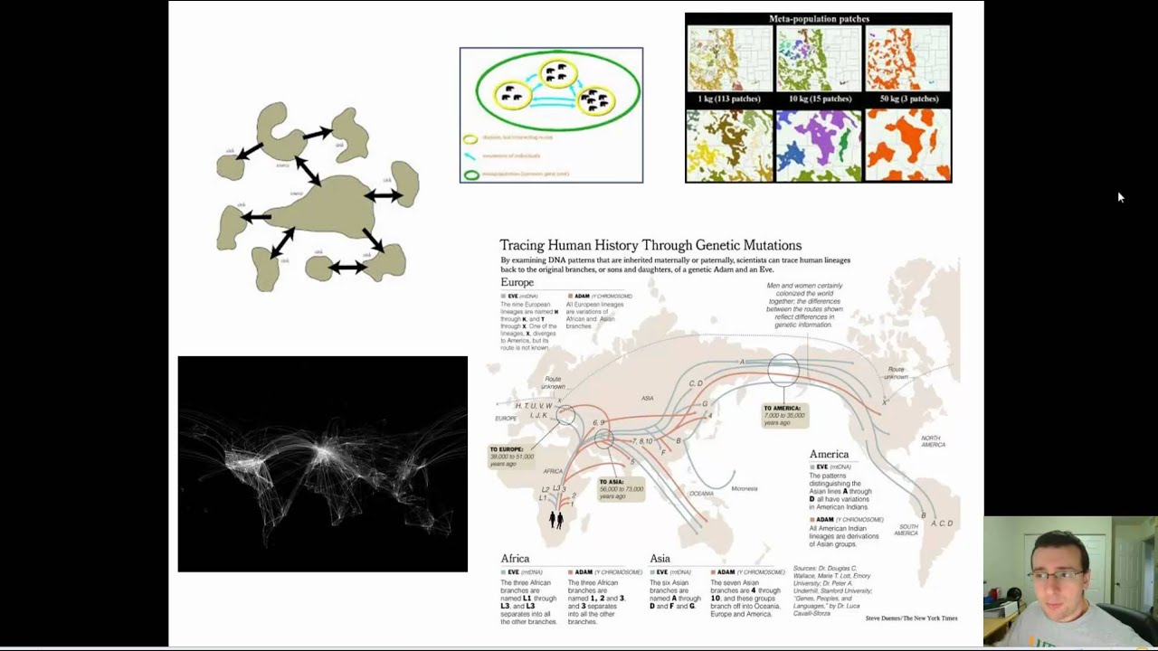 Metapopulations (Extra)