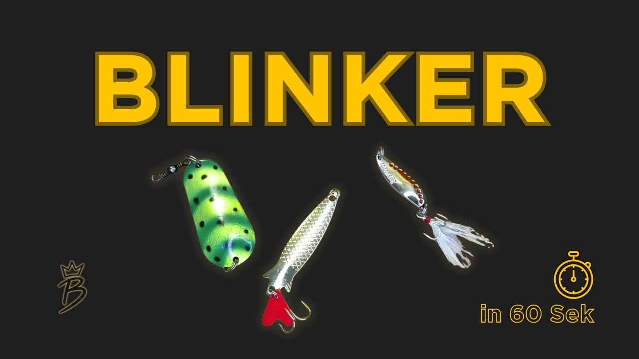 Angeln mit Blinkern &ndash; Formen, F&uuml;hrung & Fische erkl&auml;rt