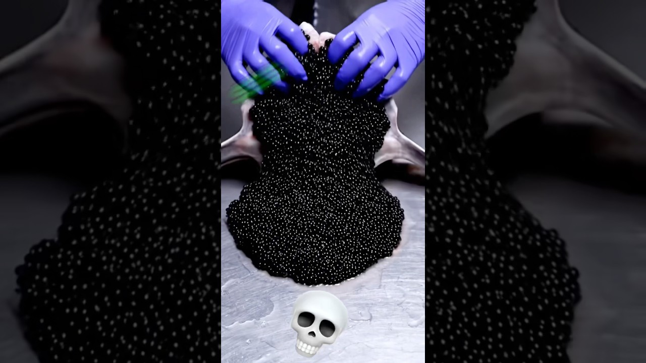 $5000 caviar. Best Sturgeon caviar in world #sturgeon #caviar #shorts