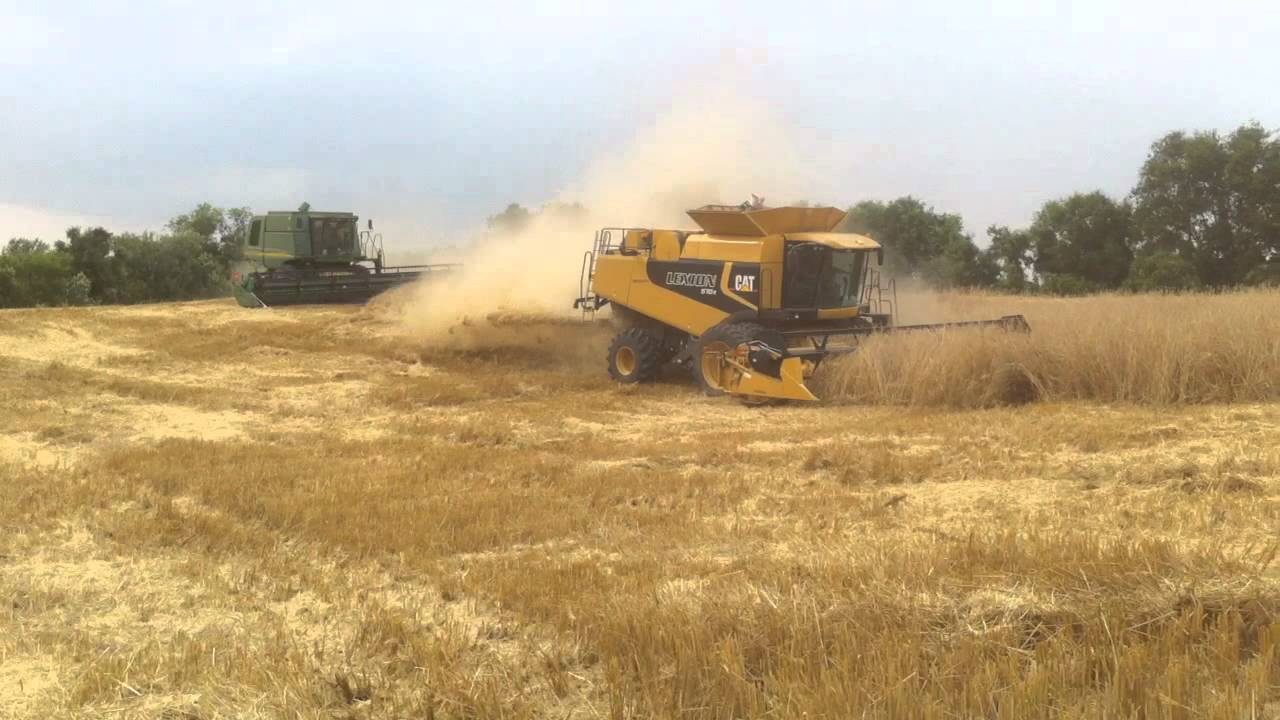 Lexion 570r and JD 9560sts in Rye 1