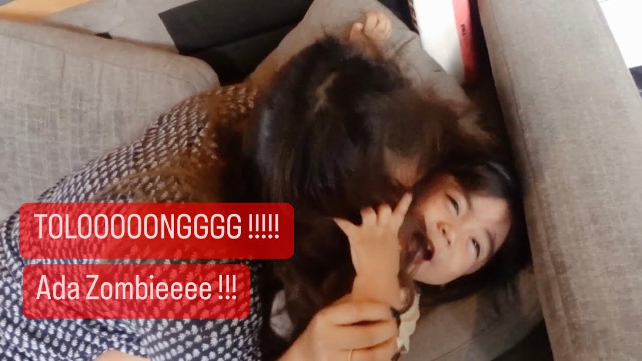 TOLOOOOONGGG !!! ADA ZOMMBIEEE !!!