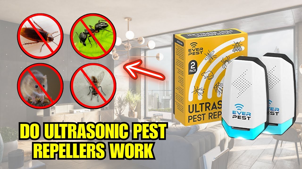 Do Ultrasonic Pest Repellers Really Work? (Real Test & Science Review)