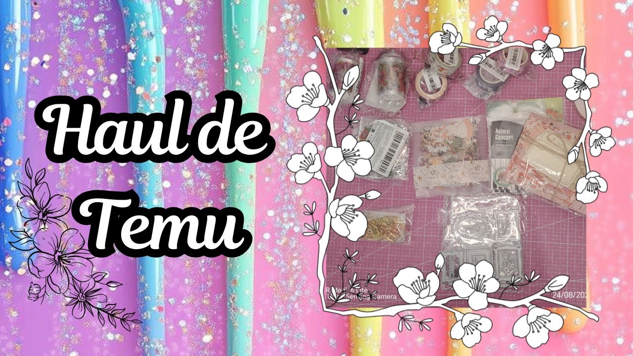 HAUL TEMU *Compritas lindas de papelería *  y no tan lindas