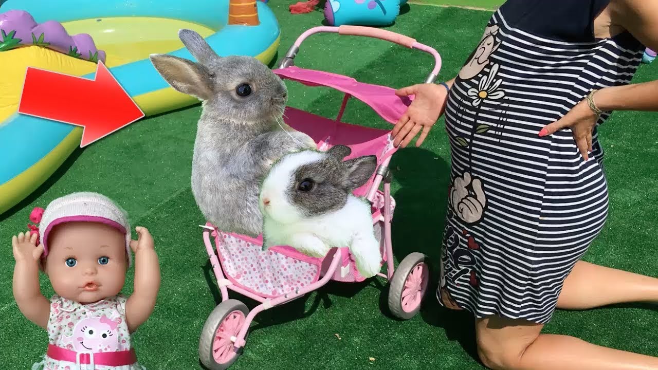 Lola Elsa y Anna muñecas grandes y mis gatitos bebés Luna y Estrella adoptan conejitos