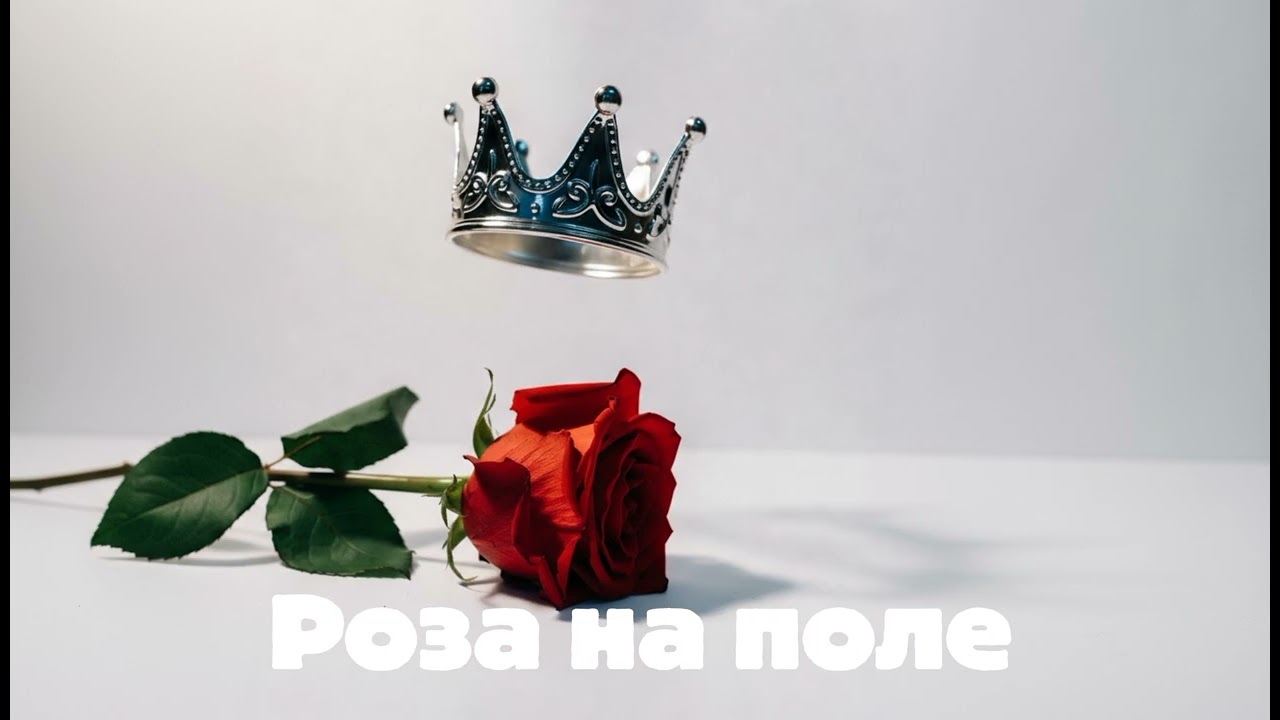 Alberto Jigatti - Роза на поле (official audio 2026)