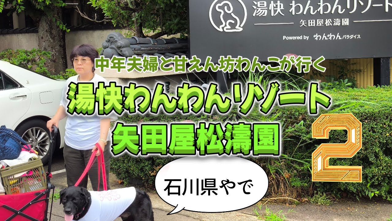 【湯快わんわんリゾート矢田屋松濤園②】露天風呂付離れのお部屋で大型犬と大型夫婦がうちの子記念日＆結婚記念日のお祝いした様子のpart２です