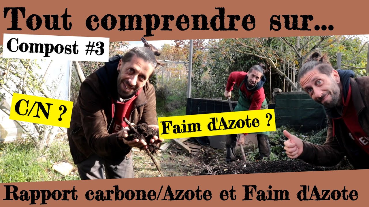 Tout comprendre sur le rapport Carbone/Azote... et sur la FAIM d'Azote ! Compost #3