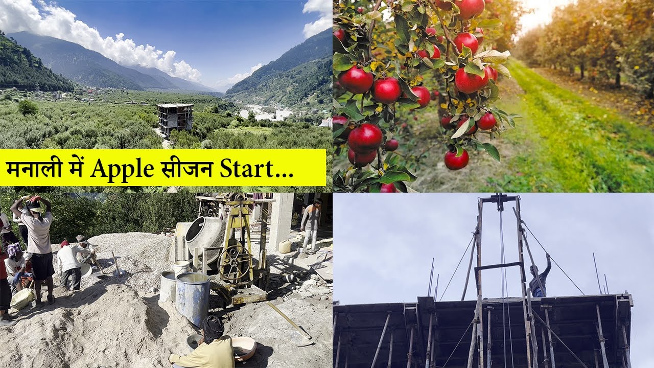 Finally, Manali me Hamare Ghar ki Roof Dal Gayi || Taze Apple ki baat hi alag hai