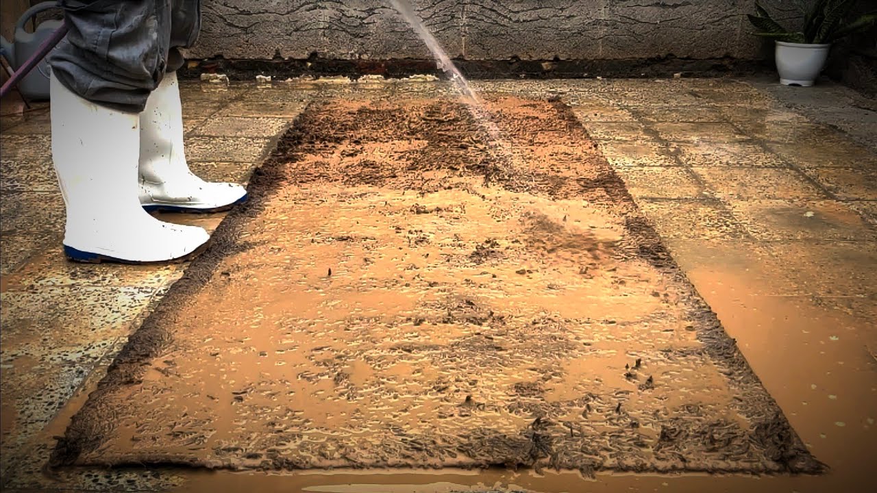 Cleaning a dirty and muddy carpet carpet satisfing rug cleanjng|asmr