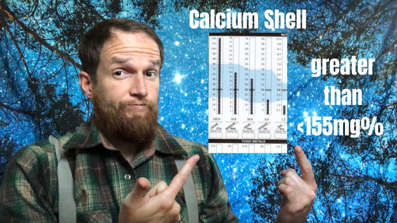 Calcium Shell - High Calcium on Hair Mineral Analysis (HTMA)