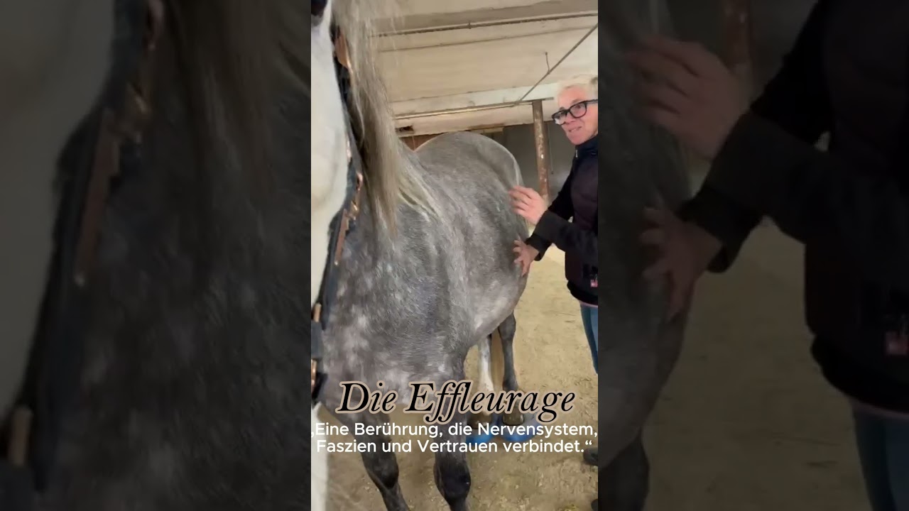 Die Effleurage