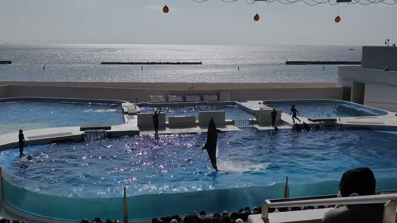 2026年2月7日