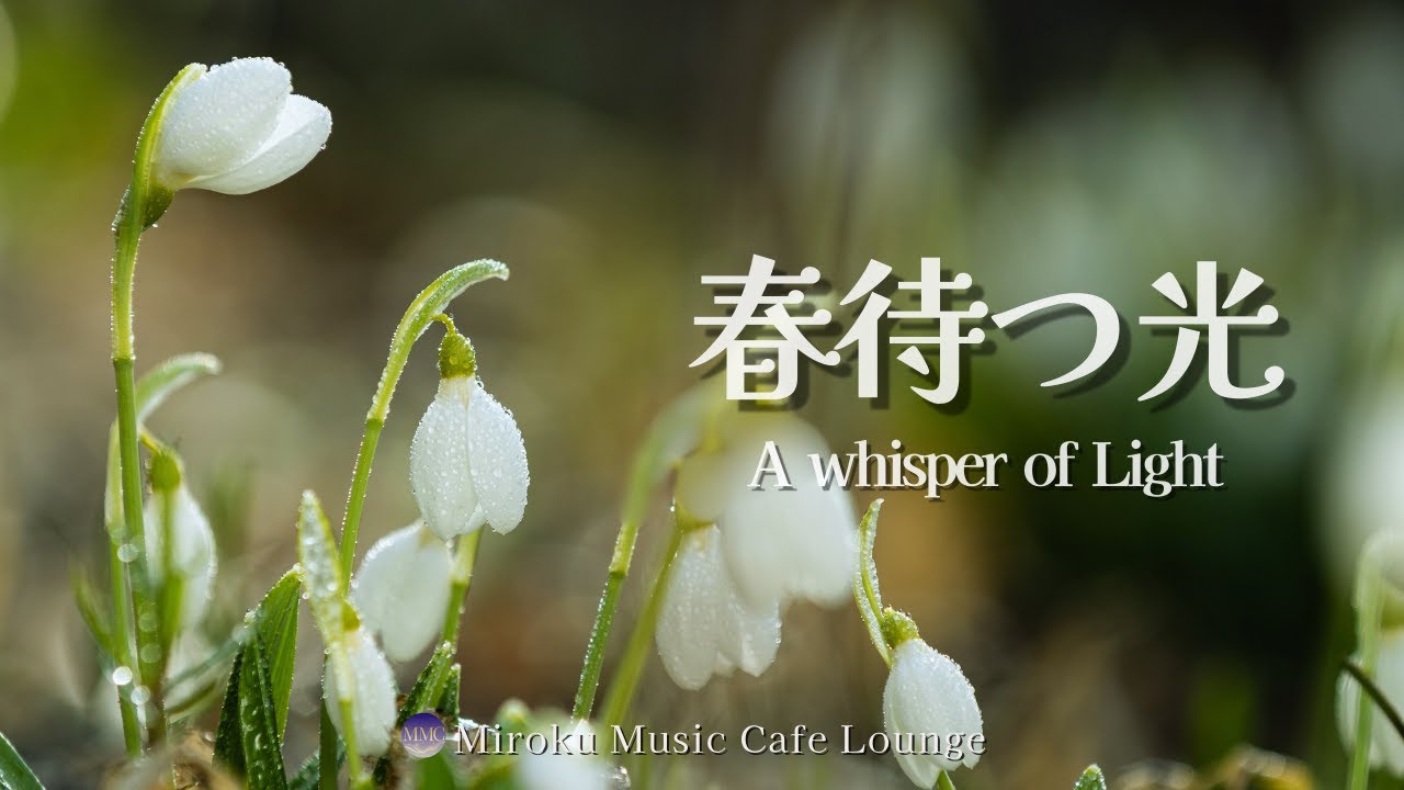 【3時間 Cafe BGM】✨春待つ光 - A whisper of Light｜☕上質なカフェで流れる癒やしの調べ🎶
