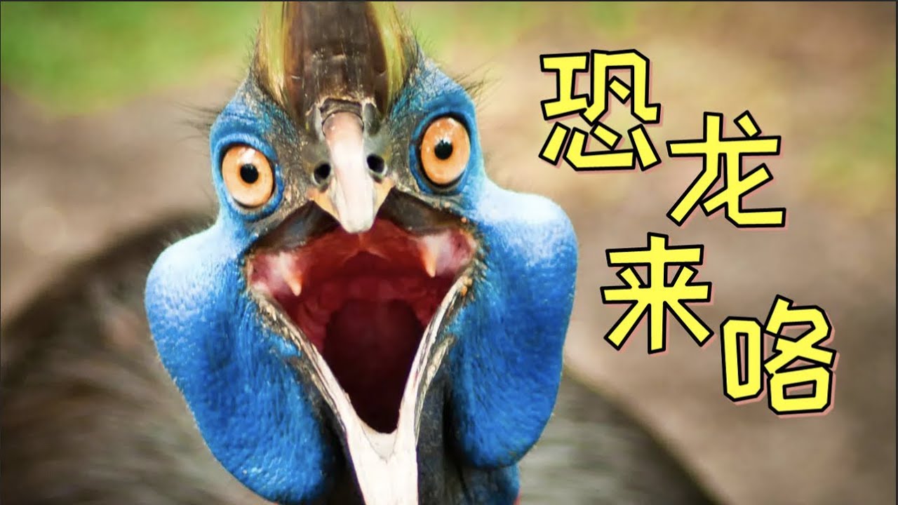【鬼谷说】古颚类：最后的龙兽争霸