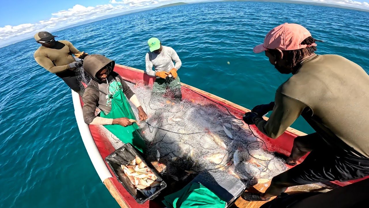 TODAY WE MADE HISTORY/ONCE IN A LIFETIME CATCH W SPEARFISHING 🇯🇲