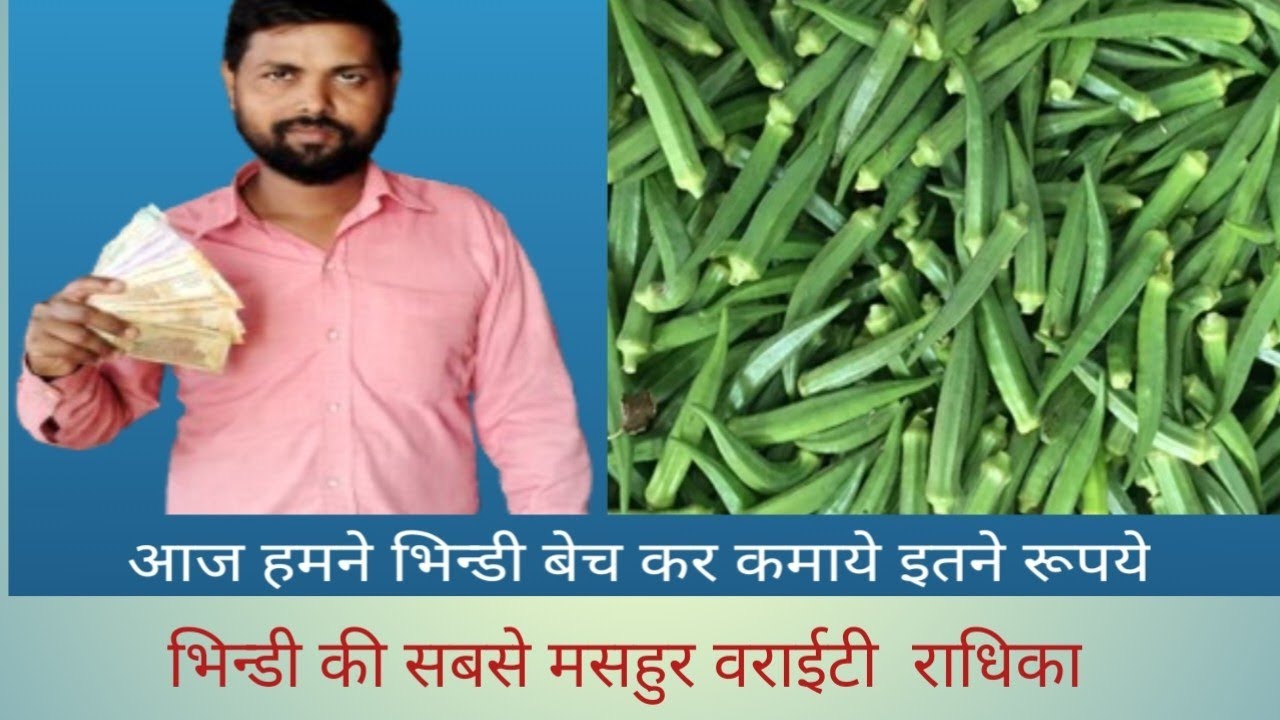 Aaj Hamne Bhindi Becha Kar Kamay Itne rupye EK Din me 