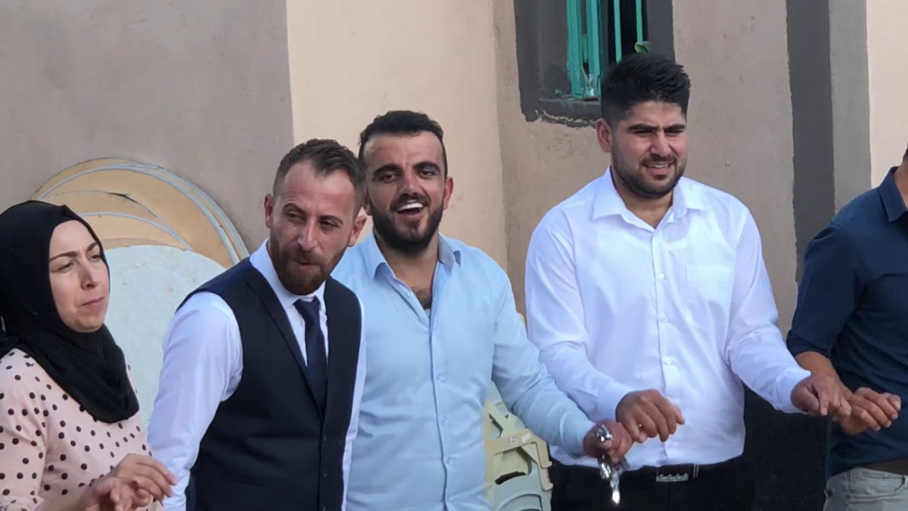 Hamit anli
