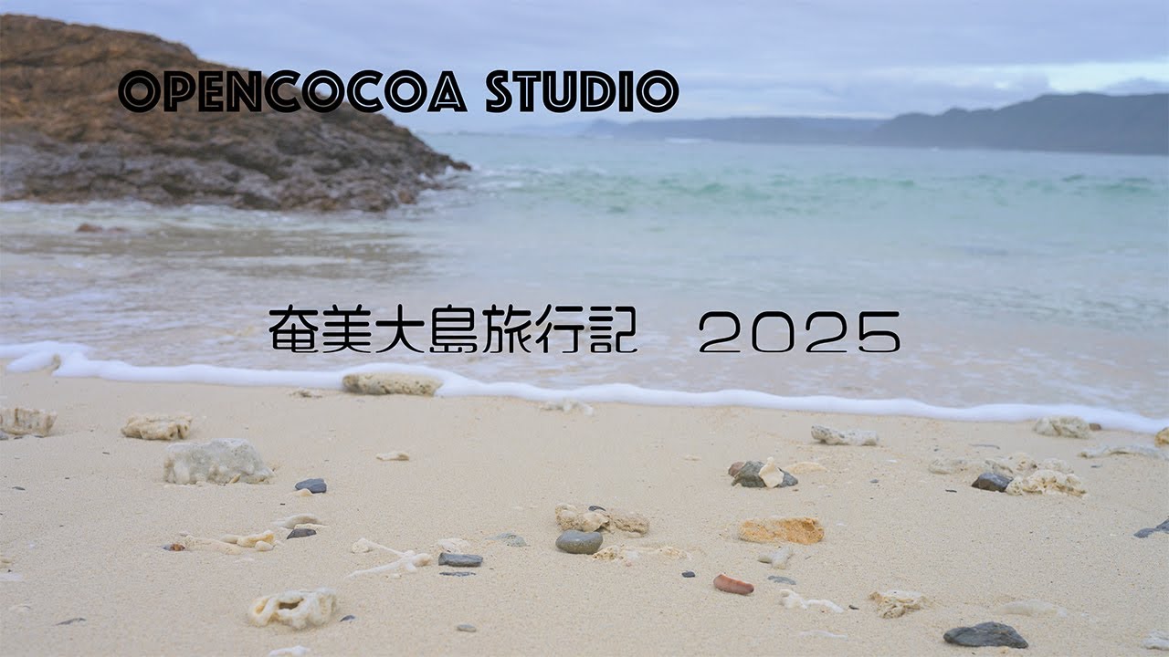 奄美大島旅行記2025　スキューバダイビング　タイムラプス　飛行機　Nikon ZR GoPro