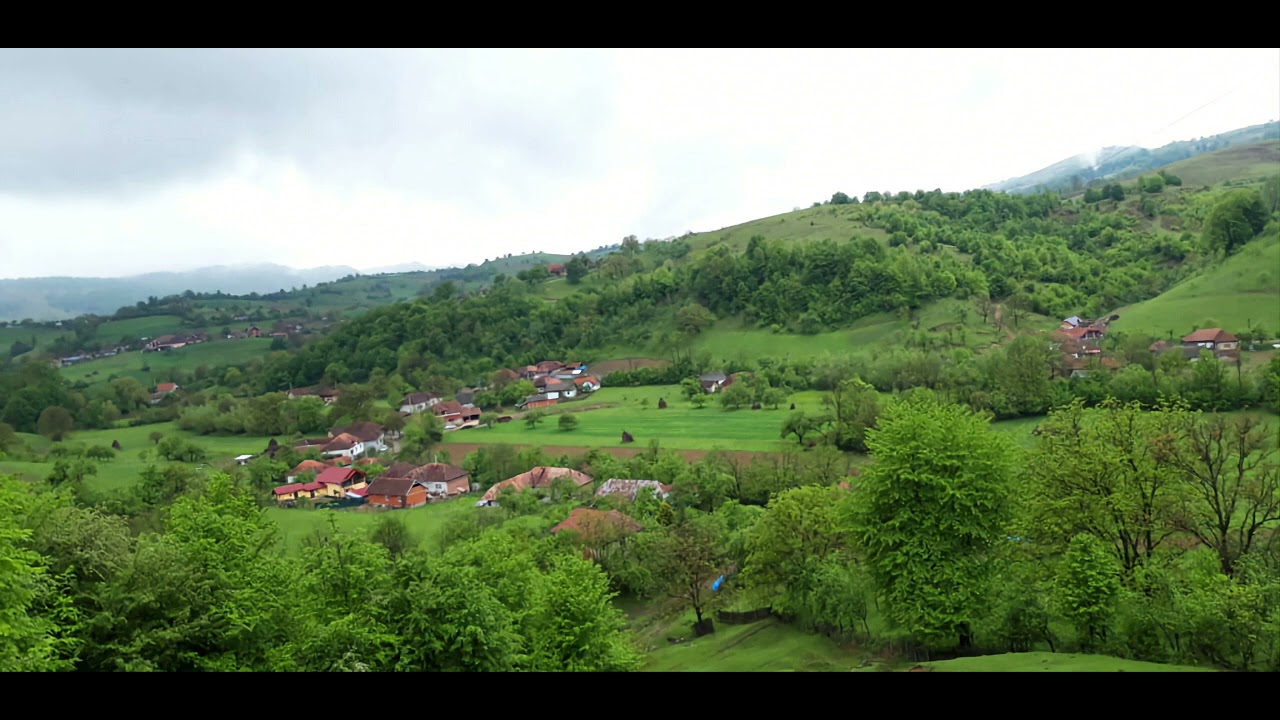 Radu Potoran La Crasmarita din Vale