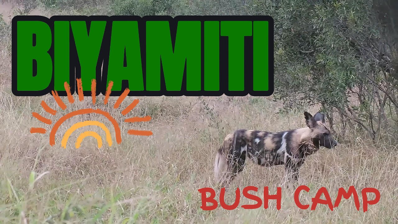 Biyamiti Bushveld camp