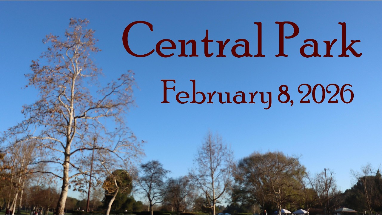 Central Park, February 8, 2026