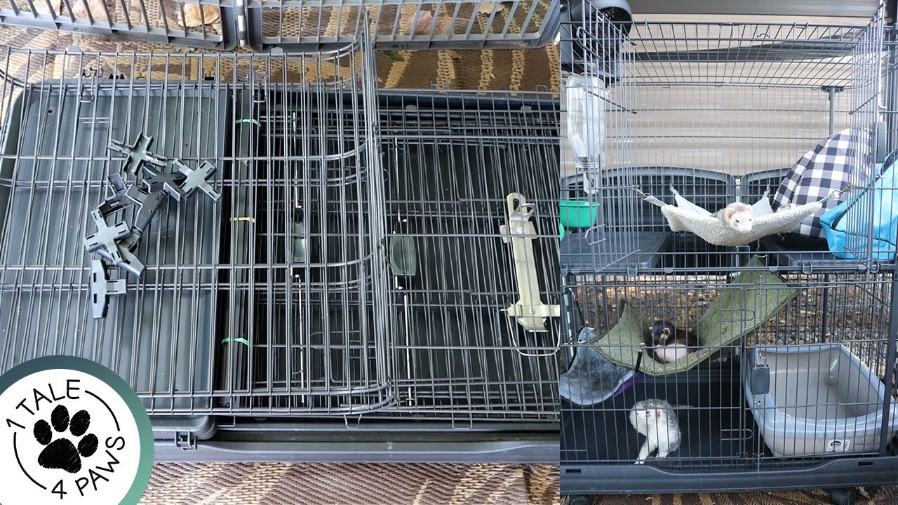 HOW TO ASSEMBLE PREVUE DELUXE CAT HOME FOR FERRETS | Traveling Cage for Ferrets