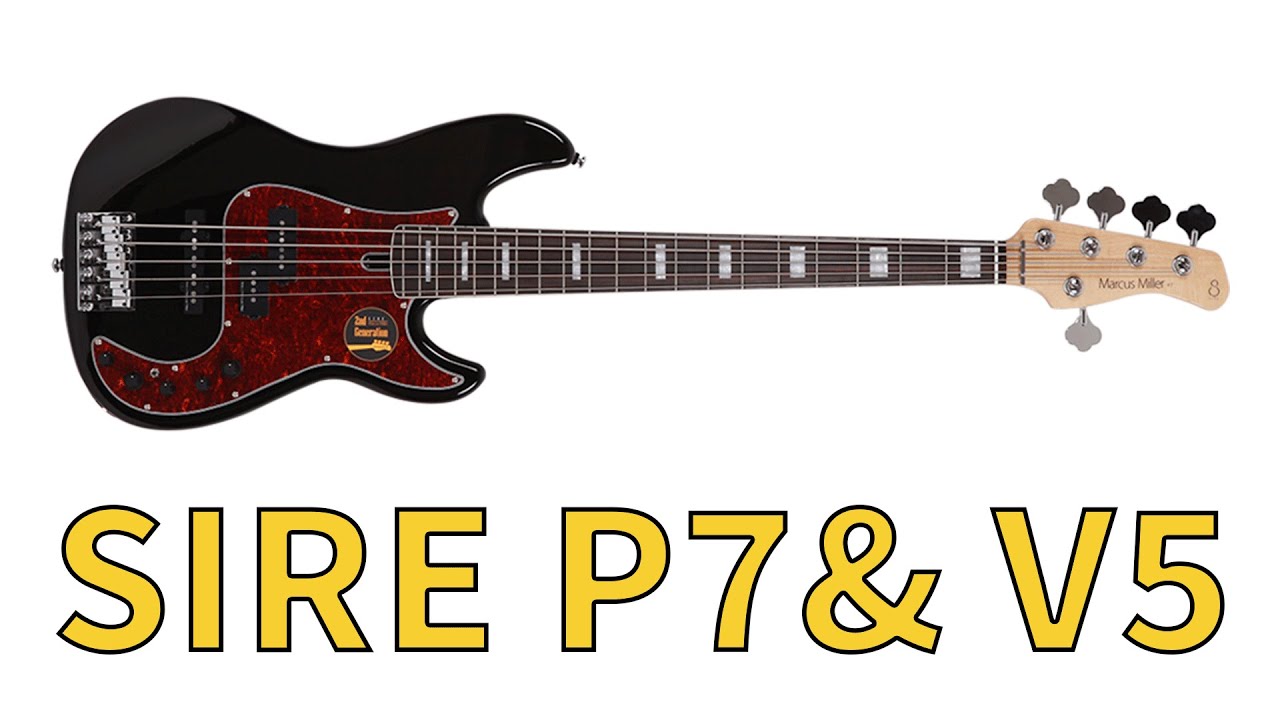 사이어 SIRE P7 그리고 V5 5현 리뷰