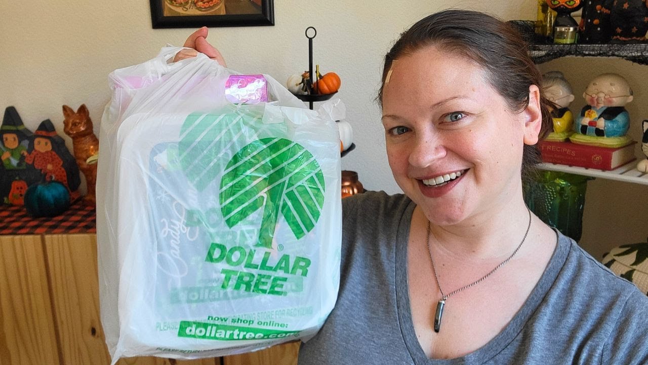 Dollar Tree Haul ~ November 2023