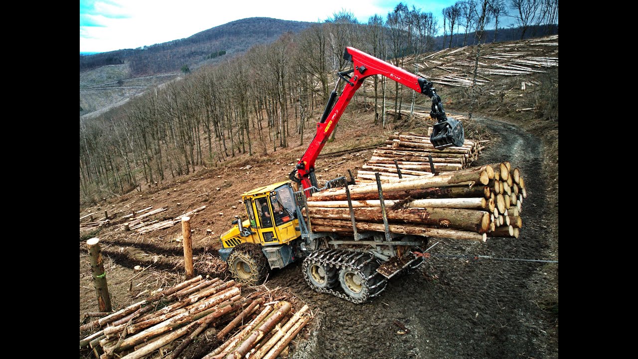 🌲4K| Welte & T.Winch 10.2 • Welte in Slope • PCM-Forst • Traktionswinde & Hang • Mit Ausblick 🌲