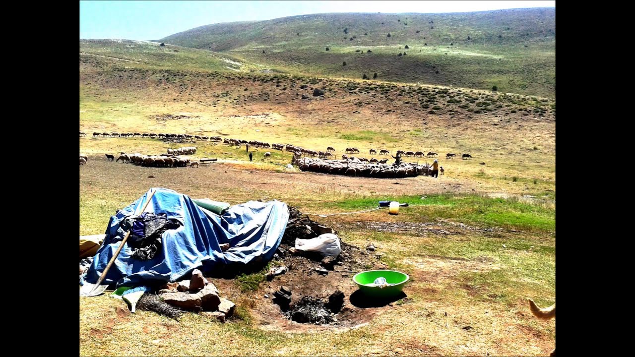 ŞAVAKLILAR (Şekakan)