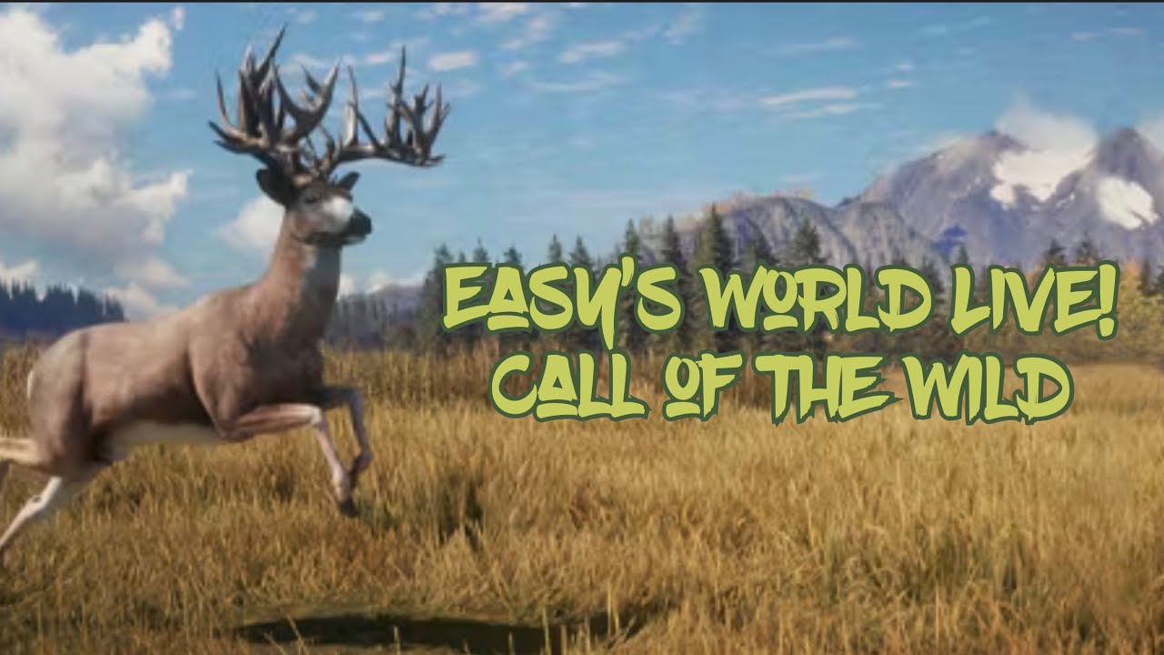 Easy's World Live Call of the Wild