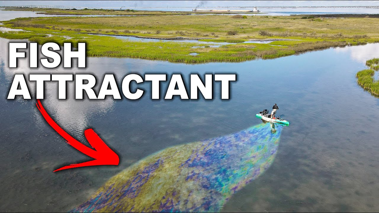 CHUMMING INSHORE with shad to attract the fish - actually worked?