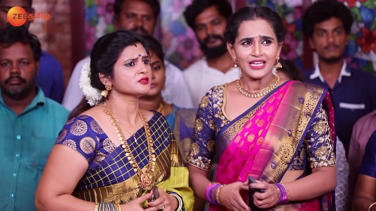 Chintamani Loses Her Memory - Rettai Roja - Full Ep 535 - Zee Tamil