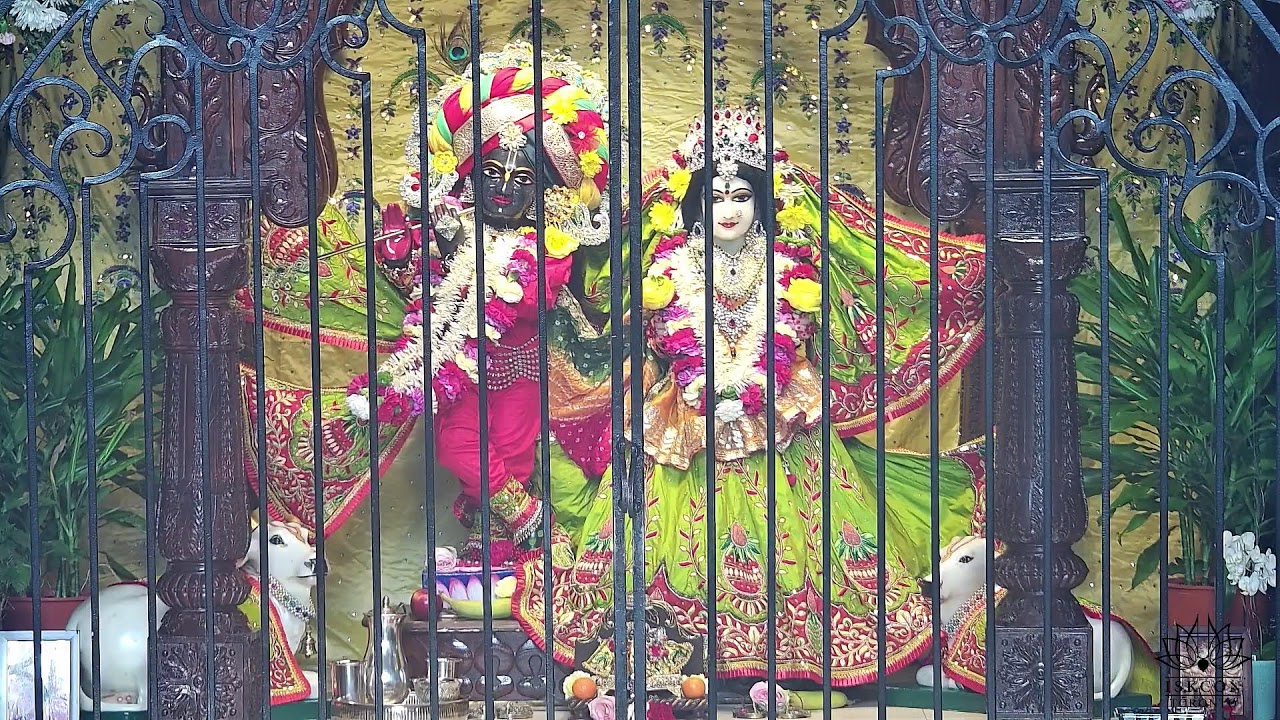 Morning Darshan
